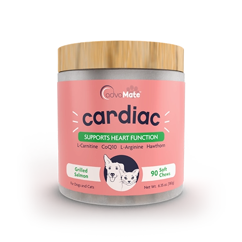 تصویر بسته بندی قرص تقویت قلب سگ و گربه ادوامیت بسته 90 عددی قرص تقویت قلب سگ و گربه ادوامیت AdvaMate Cardiac Soft Chews For Dogs And Cats بسته 90 عددی